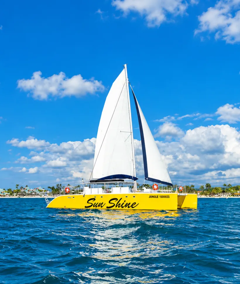 Untitled design - 2026-10-14T215441.646