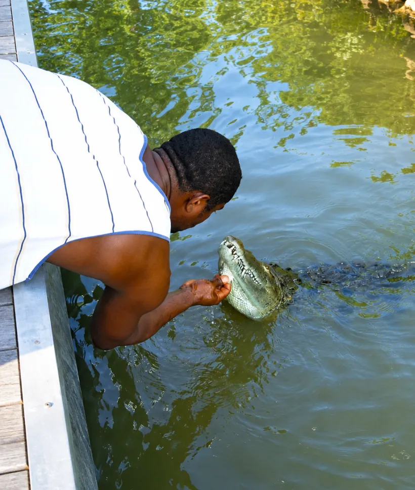 Pelican Bar, Black River Safari & YS Falls (Negril, Princess Resort)