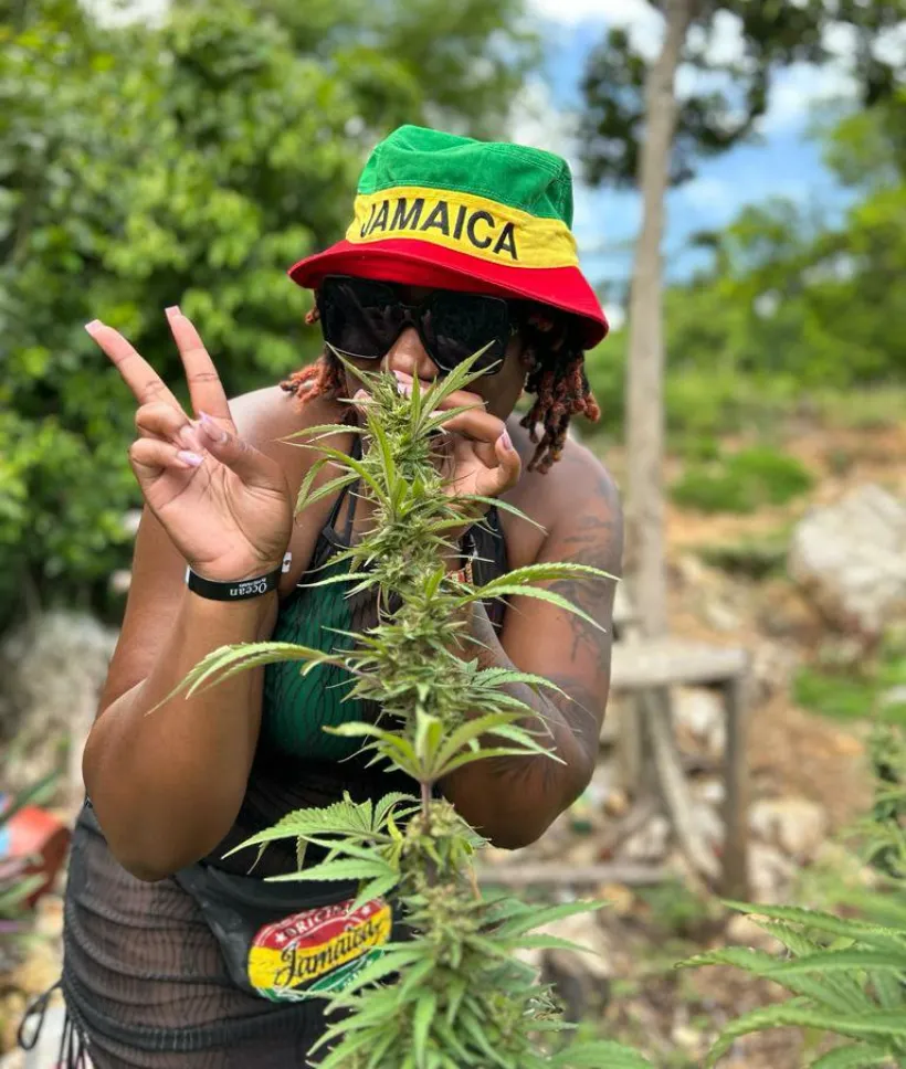 Cannabis Farm Tour & Blue Hole Experience (Princess Resort)