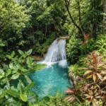 Cannabis Farm Tour & Blue Hole Experience (Negril)